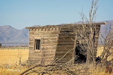 03-06-2021-CR-_D7K5398-ON1.jpg
