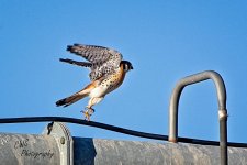 03-06-2021-CR-_D7K5400-ON1.jpg
