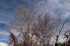 03-07-2021-CR-_7504148-ON1.jpg