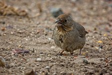 03-08-2021-CR-_D7K5469-ON1.jpg