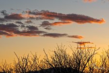 03-09-2021-CR-_7504165-ON1.jpg