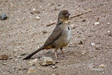 03-09-2021-CR-_D7K5479-ON1.jpg