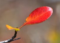 _ROY3611_00001.jpg
