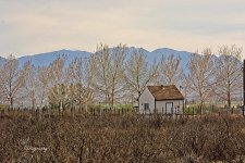 03-11-2021-CR-_D7K5594-ON1.jpg