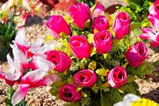 03-12-2021-CR-_7504166-ON1.jpg