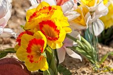 03-12-2021-CR-_7504168-ON1.jpg