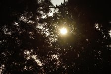 _ROY3889_00001.jpg