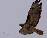 03-15-21-CR-_D7K5610-ON1.jpg