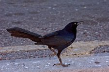 03-16-21-CR-_D7K5628-ON1.jpg