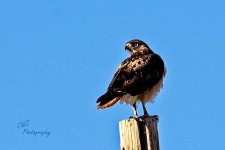 03-17-21-CR-_D7K5653-ON1.jpg