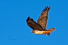 03-17-21-CR-_D7K5659-ON1.jpg