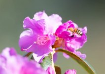 nature at work.jpg