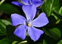 _ROY4377_00001_01.jpg