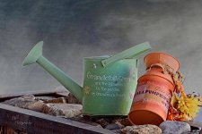 03-18-21-CR-_D7K5668-ON1.jpg