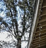 2021-03-12_12.18.52-nik-s.jpg