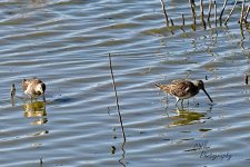 03-20-21-CR-D50_0009-ON1.jpg