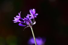 _ROY4464_00001.jpg