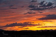 03-21-21-CR-_7504266-ON1.jpg