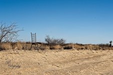 03-22-21-CR-_7504268-ON1.jpg