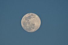 03-27-21-CR-_D500156-ON1.jpg