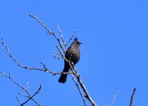 _ROY5495_00001_01.jpg