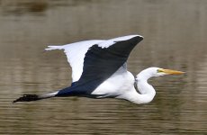 _ROY5648_00001.jpg