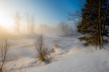 Marcel_Carey-Magie d'un matin à -30C.jpg