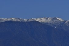 _ROY6217_00001.jpg