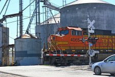 Z50_0013_L_sm.jpg