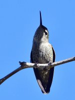 _ROY6380_00001.jpg