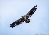 _5DX3865 low res.jpg