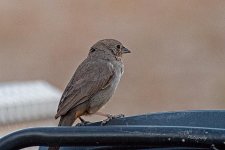 04-02-21-CR_D500248-ON1.jpg