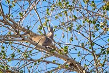 04-02-21-CR_D500221-ON1.jpg