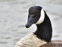 _ROY6557_00001.jpg