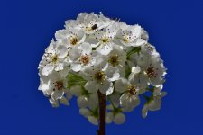 _ROY6709_00001.jpg