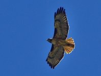 _ROY7644_00001_01.jpg