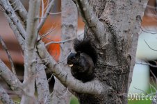 DSC_7964.jpg