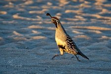 04-12-21-CR_D500441-ON1.jpg