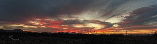 04-13-21-CR_7504398 Pano-ON1.jpg