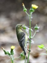 _ROY8414_00001_01.jpg