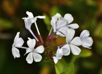 _ROY8439_00001.jpg