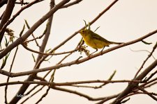 04-14-21-CR_D500490-ON1.jpg