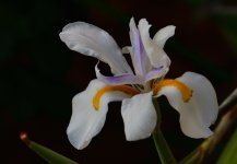_ROY8628_00001.jpg