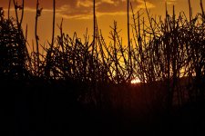 _ROY8689_00001_01.jpg