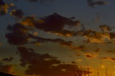 _ROY8698_00001.jpg