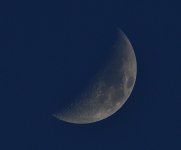 _ROY8714_00001.jpg
