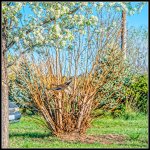 _7501222-Edit.jpg