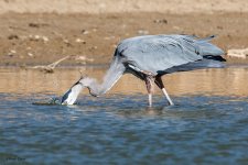 GBHFishingSeries-845.jpg