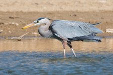 GBHFishingSeries-847.jpg