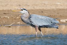 GBHFishingSeries-848.jpg